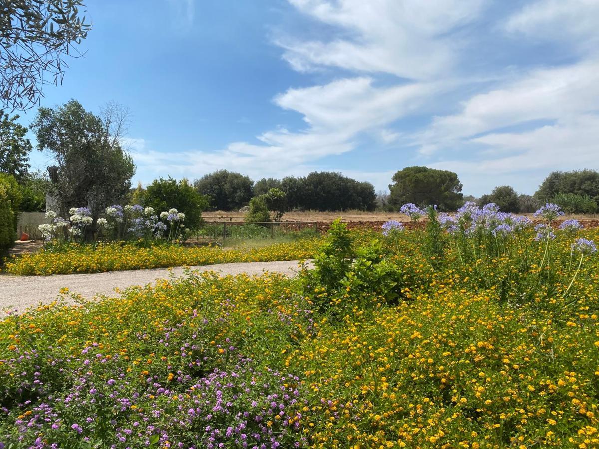 Casa Anna, Agriturismo Alla Castellana Gallipoli Zewnętrze zdjęcie