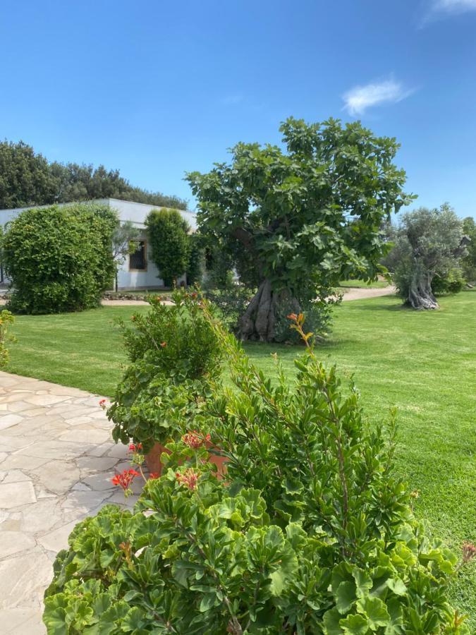 Casa Anna, Agriturismo Alla Castellana Gallipoli Zewnętrze zdjęcie