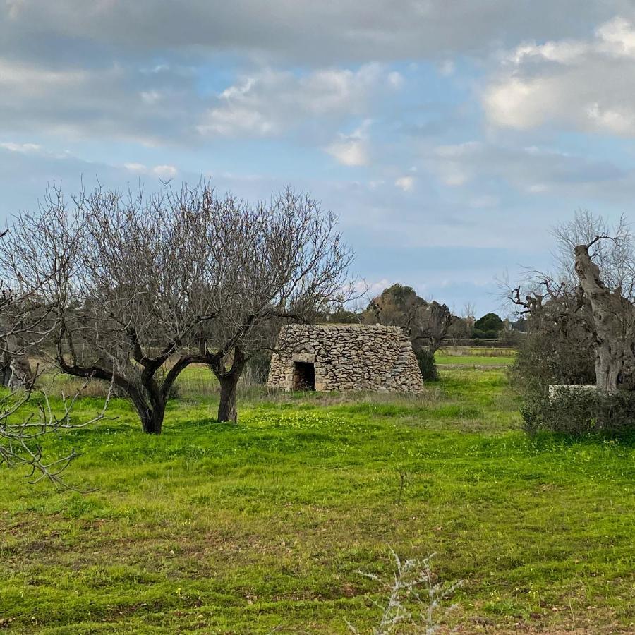 Casa Anna, Agriturismo Alla Castellana Gallipoli Zewnętrze zdjęcie