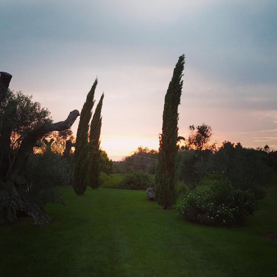 Casa Anna, Agriturismo Alla Castellana Gallipoli Zewnętrze zdjęcie